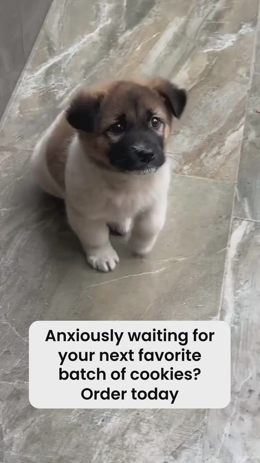 ♥ Snow Kissed Cookies – Fresh, Handmade Batch of 24 ♥