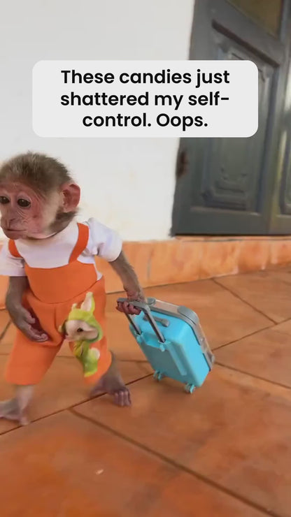 ♥ Broken Bits Bonanza - Shattered Candy - 1 Pound ♥